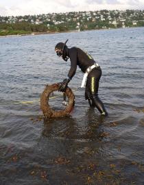 Free diver collecting waste from the Oslo fjord. 
