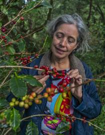 여성 커피 생산자가 작물을 살펴보는 모습
