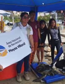 Remise en liberté de tortues marines réhabilitées.