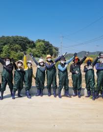 salt marsh restoration with volunteers