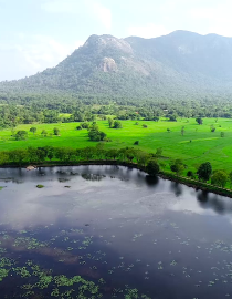 La restauration de la biodiversité dans le paysage de la cascade a consisté à réhabiliter les systèmes de réservoirs traditionnels, à reboiser les bassins versants et à réintroduire des espèces indigènes. Ces actions ont permis d'améliorer la rétention de l'eau, de restaurer les habitats et de soutenir à la fois la biodiversité et les moyens de subsistance locaux, améliorant ainsi l'équilibre écologique du paysage et sa résilience au changement climatique.