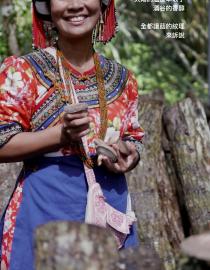 Économie forestière - Champignon Shiitake Duanmu