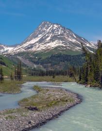 이미지에는 강이 있고 뒤쪽에는 산이 있으며 주변에는 녹색 초목이 있습니다. 하늘은 파란색입니다.