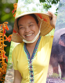 График, отражающий три области воздействия проекта BR: поддержка устойчивого жизнеобеспечения сообществ (слева), содействие участию женщин в сохранении природы (посередине) и восстановление экосистем (справа).