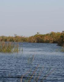 Okavango Delta, Botswana © IUCN Alicia Wirz