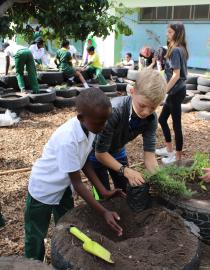 The programme has been successful in creating an impact through hands-on eco-education to school children and community members. Greenpop Urban Greening