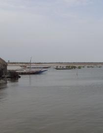 Senegal IUCN Radhika Murti
