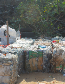 Sorted plastic ready for selling 3R
