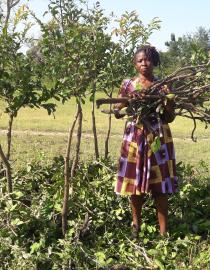 Lead farmer trained on FMNR practice World Vision