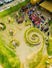 Hsinchu Food Forest birdview Wutong Foundation