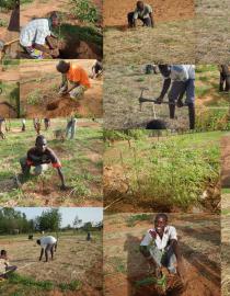 Installation of synecoculture farm in Burkina Faso. Sony Computer Science Laboratories, Inc.