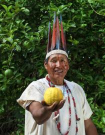 Comunidad Nativa - Reserva Comunal Amarakaeri Ejecutor del Contrato de Administración de la Reserva Comunal Amarakaeri - ECA Amarakaeri Amarakaeri, 2021