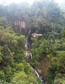 Bosque mesófilo de las montañas de Chiapas IUCN @ Fidel Montesinos