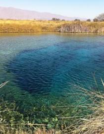 Área de Protección de Flora y Fauna Cuatrociénegas, Coahuila, México Ana Elisa Peña Del Valle Isla