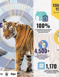 Coalition Infographic 2020 Coalition to End Wildlife Trafficking Online