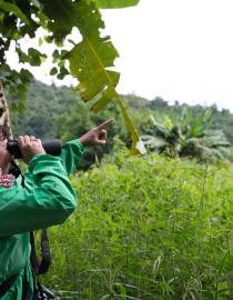 Birdwatching in Nam Et-Phou Louey National Park WCS/NEPL NP