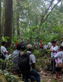 Community forest monitoring volunteers at work. EcoLogic Development Fund