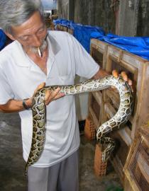 Reptile farming in Vietnam Patrick Aust