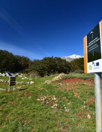 Man and Nature on the Paths of the Time @PiraeusBank