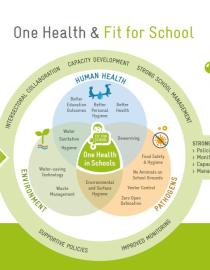 Fit for School One Health Concept GIZ Fit for School