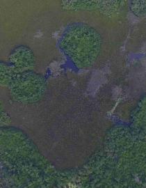 Aerial view of mangrove and wetland ecosystem © INECC