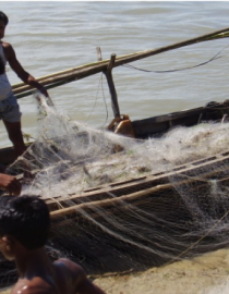Fishing in the Meghna River IIED