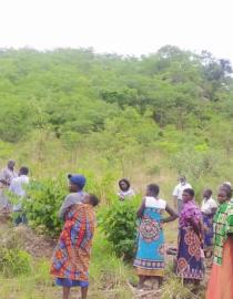 From bare to cover, Gomeza community members appreciating the restored forest area. Photo: Donnex Mtambo Taken by contributor who authorized use