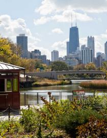 Nature Boardwalk offers Chicago residents access to nature within the city limits Lincoln Park Zoo