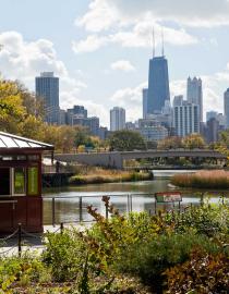 Lincoln Park Zoo