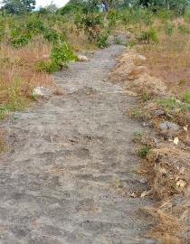 firebreak construction none