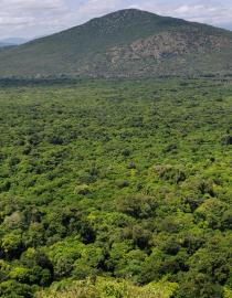 Nechsar National Park GIZ