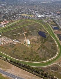 The 52 ha Kenilworth Racecourse Conservation Area is one of the largest stretches of Cape Flats Sand Fynbos remaining. Russell Southey
