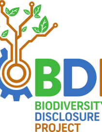 BDP Logo EWT