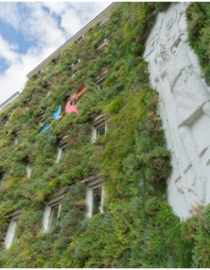 Green façade of the administration department for waste management (MA 48) at Einsiedlergasse 1, Vienna c MA 22