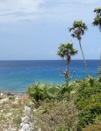 TCI dive site A. Roddy McLeod