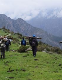Miembros de la comunidad de Miraflores cargan postes de cercado para proteger los pastizales restaurados. Instituto de Montaña