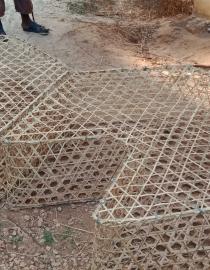 Sample of a modified Trap CORDIO