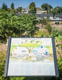 A educational board donated by a local artist that depicts what a food forest is. Jonathan H. Lee