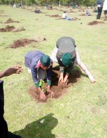 Students participating in tree plating excercise SACDEP