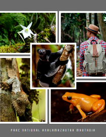 Parc National Analamazaotra Madagascar National Parks