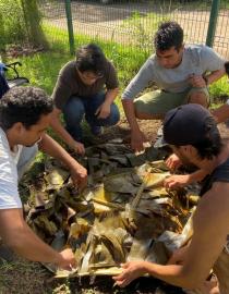 Equipo Indicador 2021 en umu (o curanto tradicional) de bendición del inicio de trabajos STP-CMN, 2022