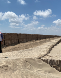 Coastal Protection Works UNDP