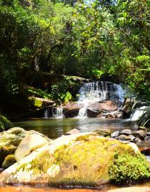 MADAGASCAR NATIONAL PARKS
