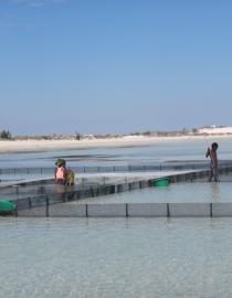 Soariake MPA, sea cucumber enclosures in Andravona WCS Madagascar