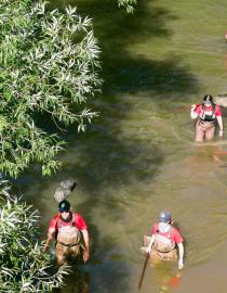 Participants in Toronto search a river for observations to log on iNaturalist during the Bioblitz 150 series of events Candian Wildlife Federation