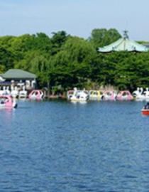 Tokyo Metropolitan Park Association, https://www.tokyo-park.or.jp/park/format/index038.html