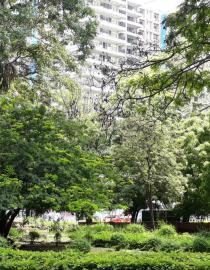 An urban jungle in Tanzania- Sites like these are mapped and evaluated using "natural asset mapping" Ernita Van Wyk, ICLEI