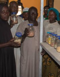 Community Seed bank Seed bank of Sheda Community