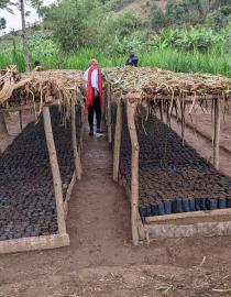 Community Restoration IUCN