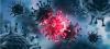 Profile picture for user thomas.schmitt.m
